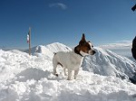 27 Teddy al rifugio 
